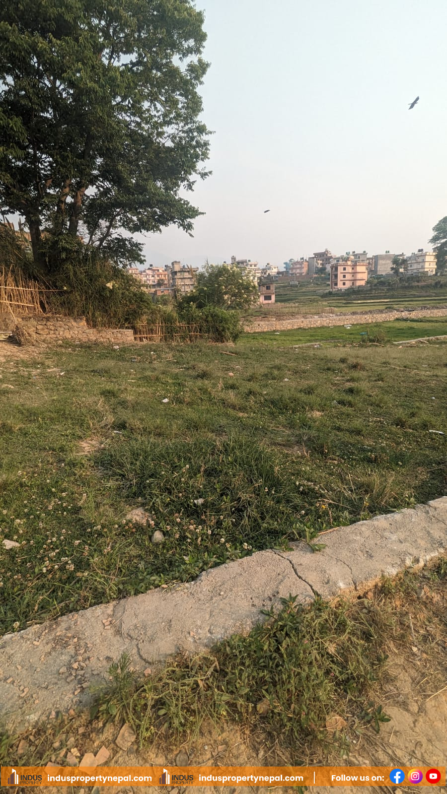 Picture of Mahalaxmi Municipality, Bagmati